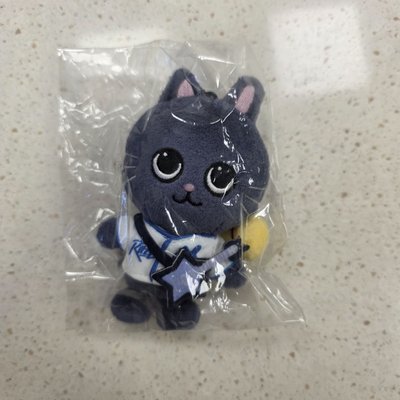 RIIZE 情人節原皮兔貓鴨、RIIZE PARK磁吸兔貓鴨（皆不綁直出）