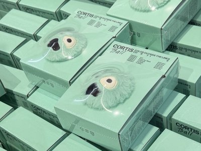 現貨速出 CORTIS出道專一鍵畢業（頌缽專+球專+黑膠）