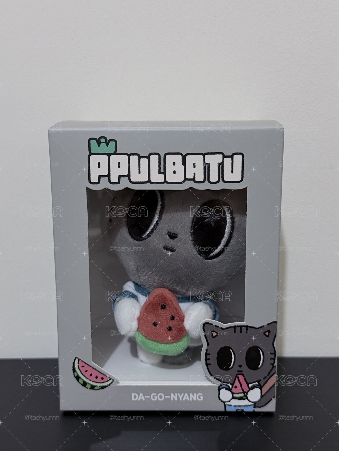 西瓜松喵🍉🐱
