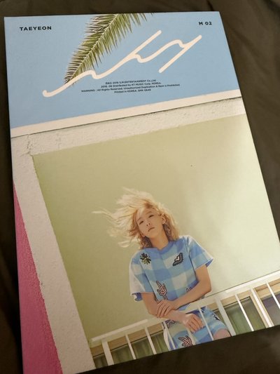 Taeyeon Why 空專