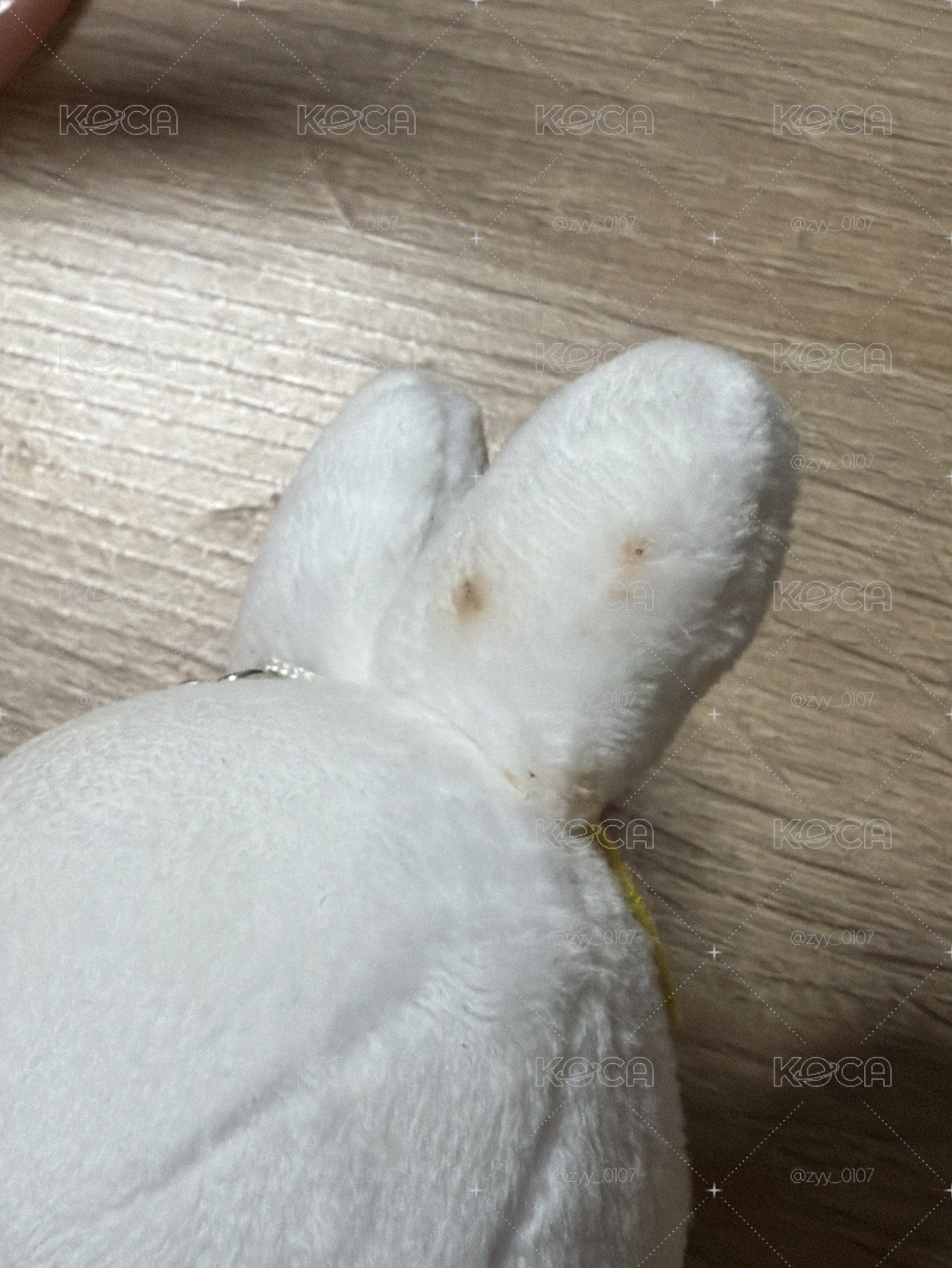 李畢露營娃