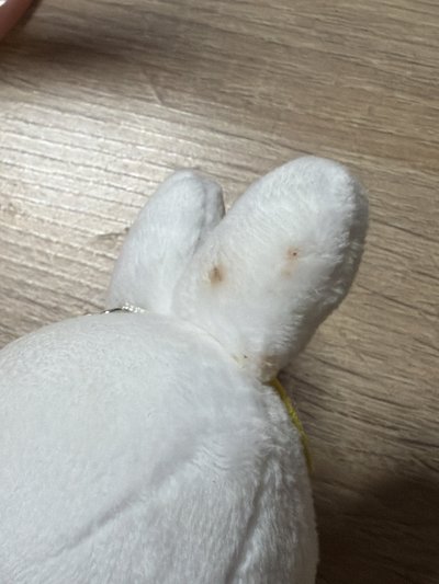 李畢露營娃