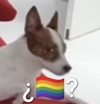 某欸某欸Q