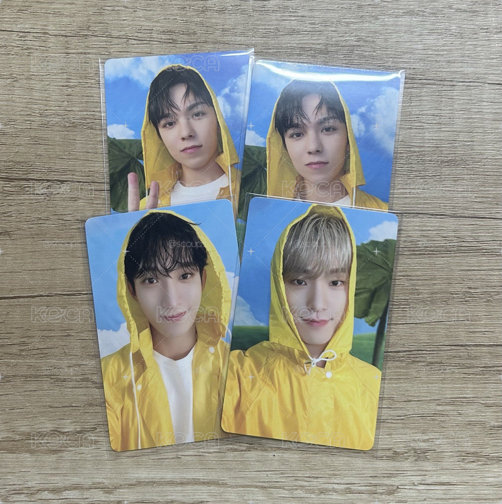 SEVENTEEN MINI11