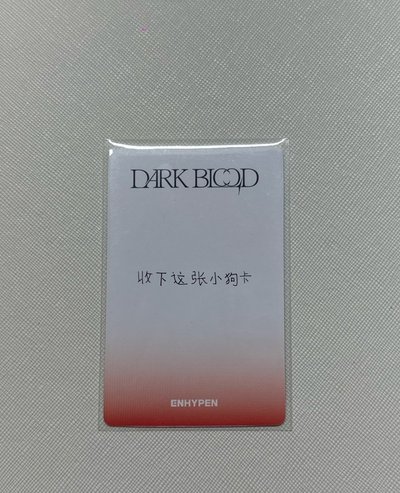 沈載倫 Jake 迷四 yzy 特典卡 