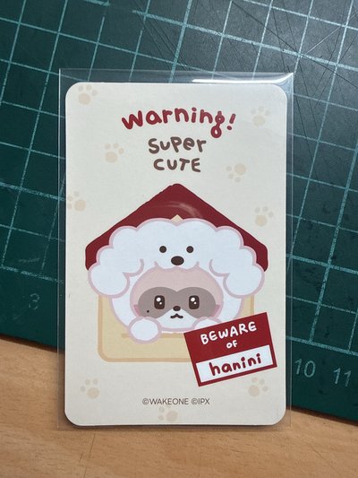 章昊 快閃滿額卡
