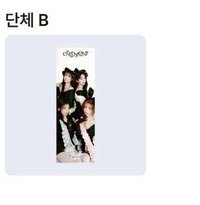 團體 B