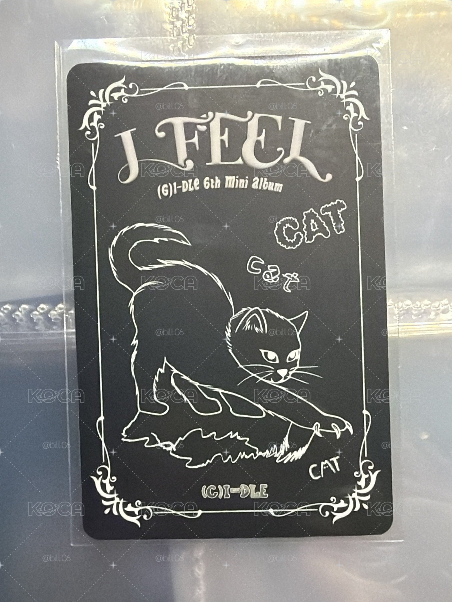 娟 迷六 I feel 專輯卡 CAT版