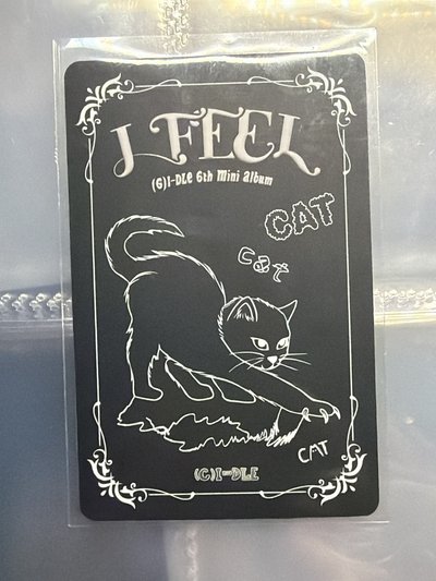 娟 迷六 I feel 專輯卡 CAT版