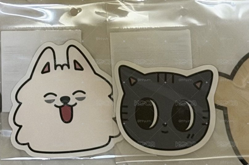 快閃明信片