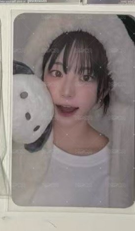 帕恰狗丹