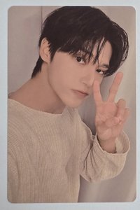 DIARY ver. Z