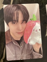草莓兔 潤