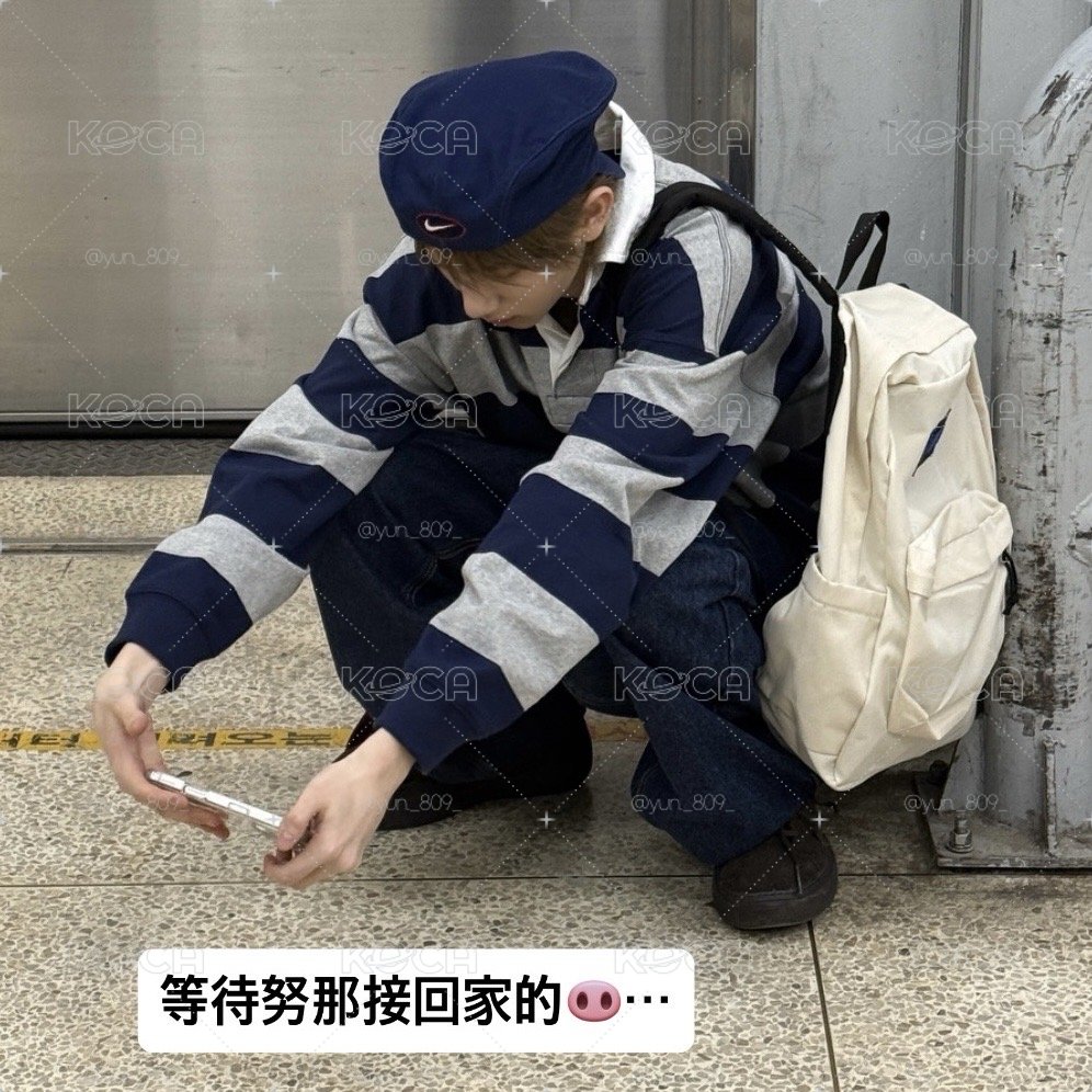 Cortis 迷一小豬合輯