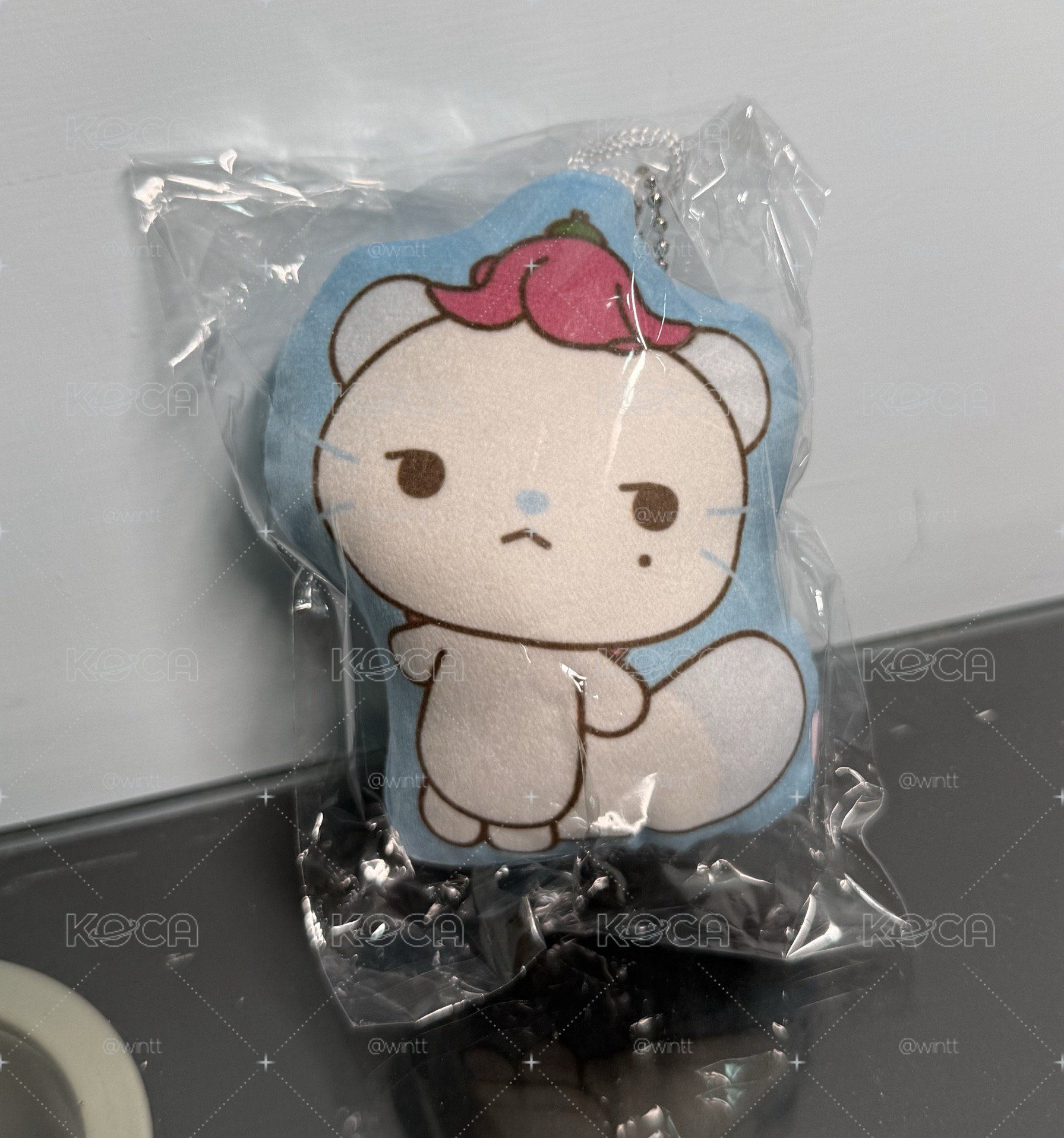 jiwoo上海快閃娃娃