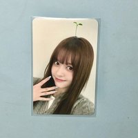 🌱ms線下