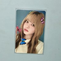 🦋蝴蝶莉