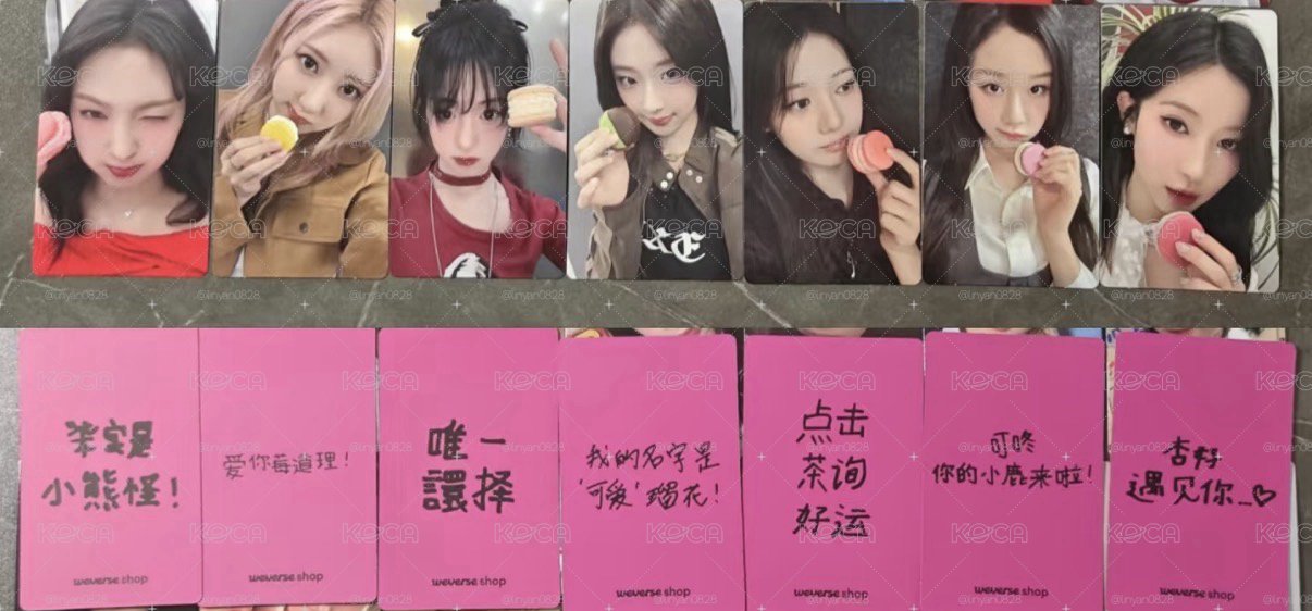 ！全員馬卡龍中背！