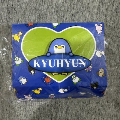 日周 SS10 全新未拆 手燈裝飾 藝圭賢