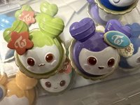 紗+定 已拆