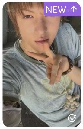 環球 預售