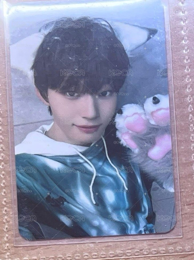 數星星小貓