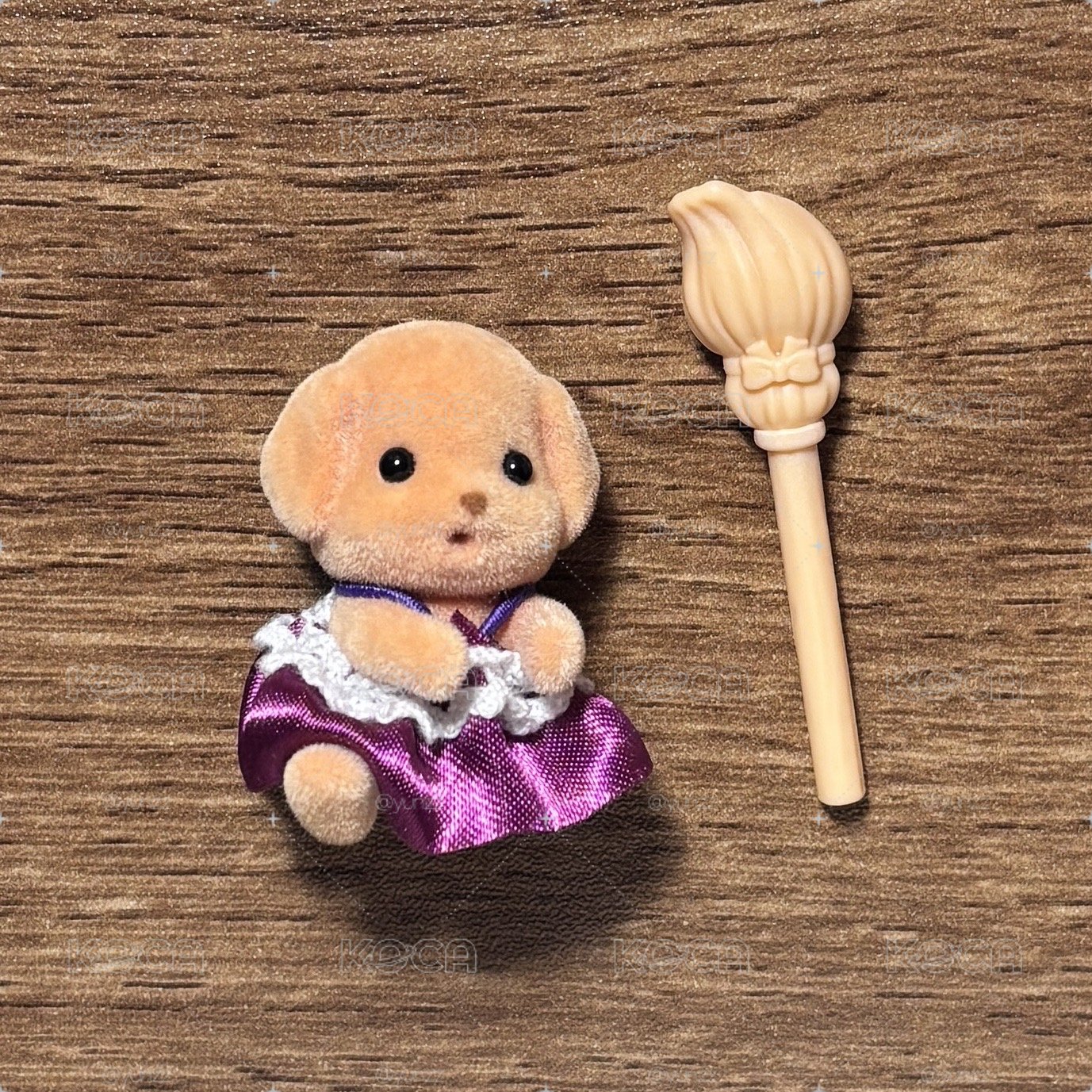 貴賓狗魔法師