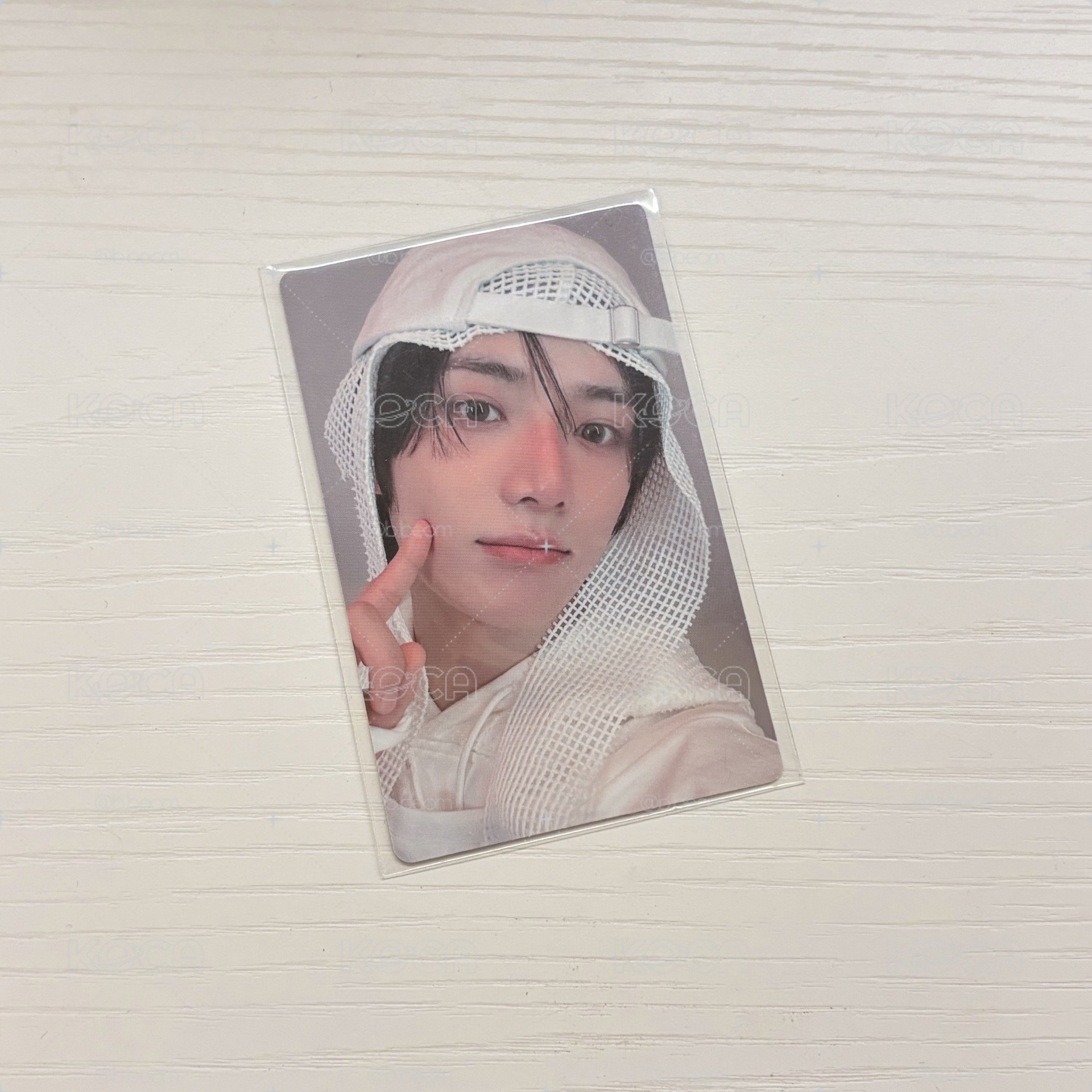 小白熊