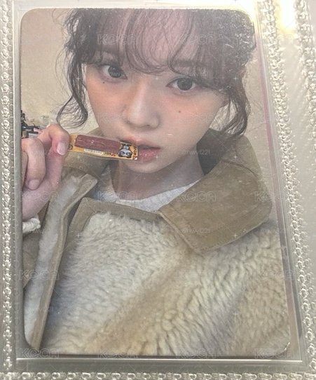 冬柚盤