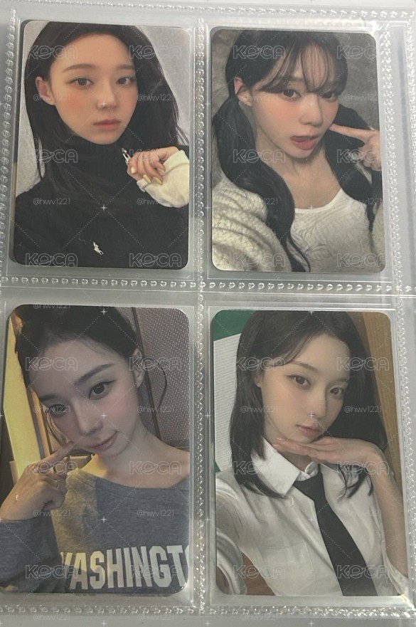 冬柚盤