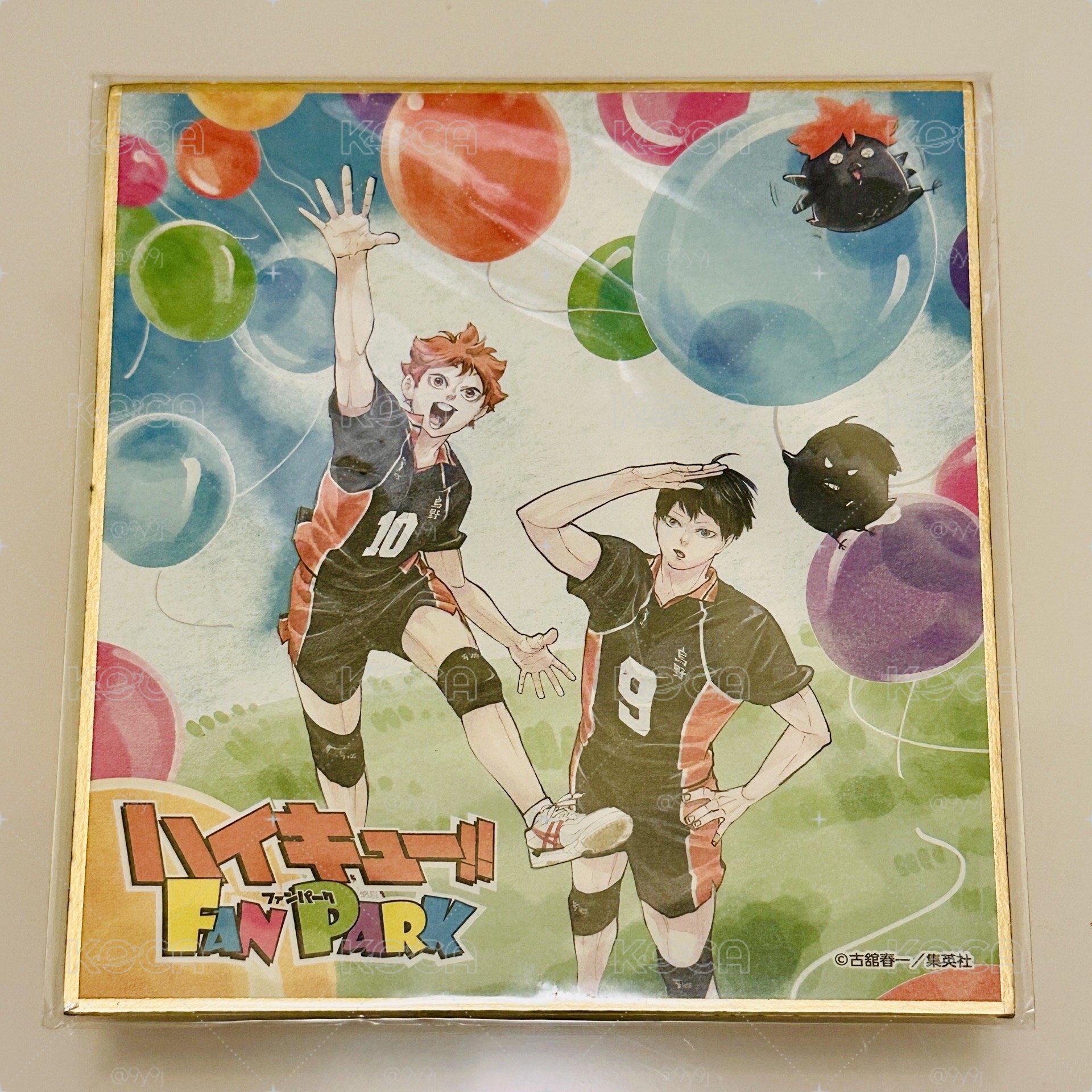 排球少年 fan park 特典 色紙 日向 影山