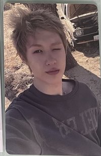 頌缽小馬