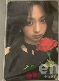 춤 (CHOOM) k4 團封 幸運卡 玫瑰版