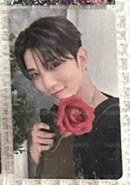 槍花秀