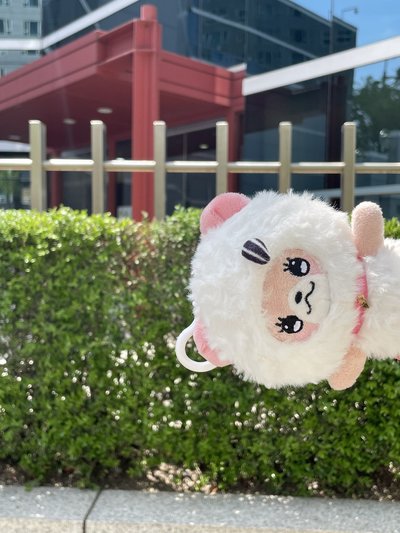 🧸公主請下單