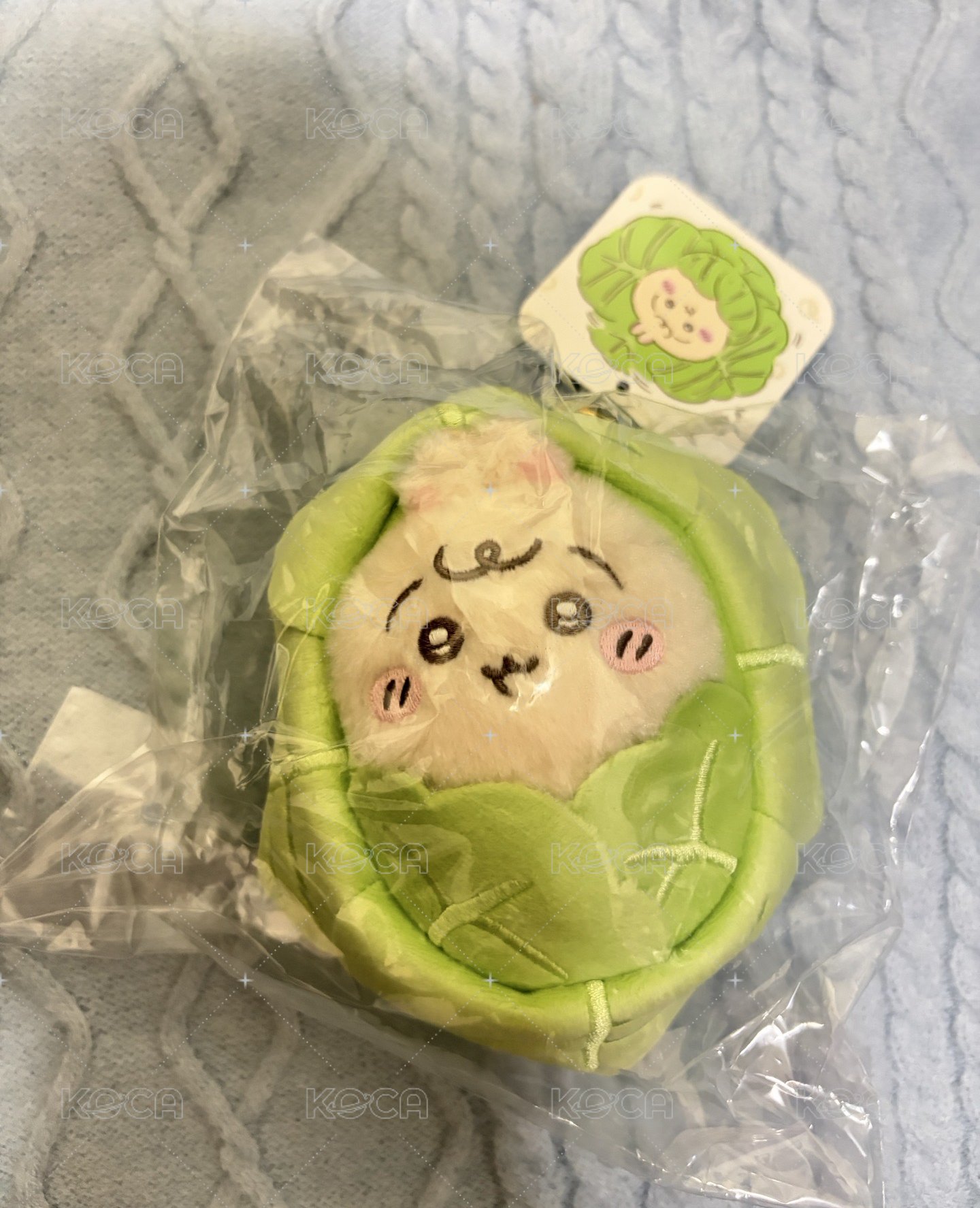 高麗菜兔