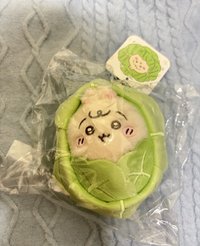 高麗菜兔