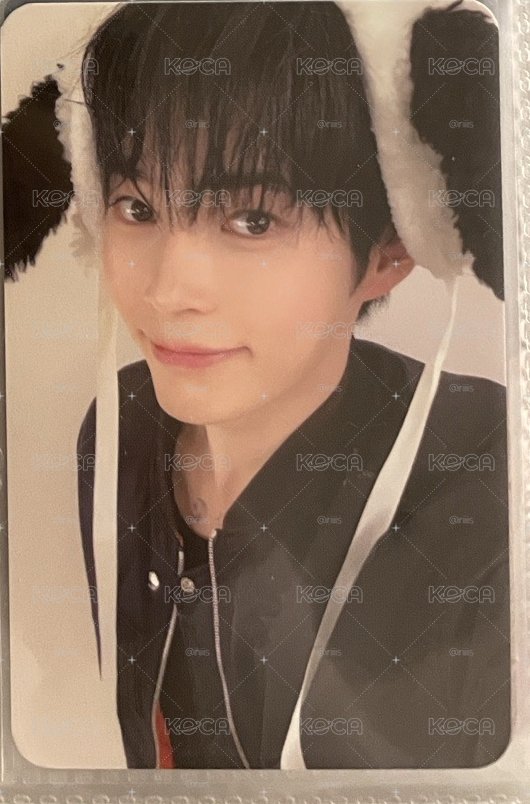 成韓彬迷五小狗