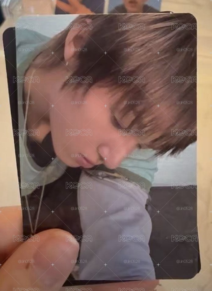 睡著的小金毛 含馬丁專卡