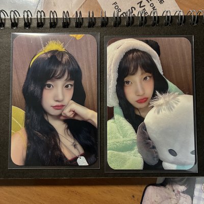i-dle 蜜蜂+帕恰狗 雨琦