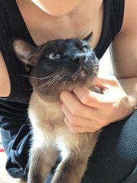 修好你的壞心情