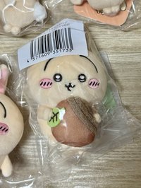 D橡實