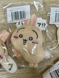 E蛤