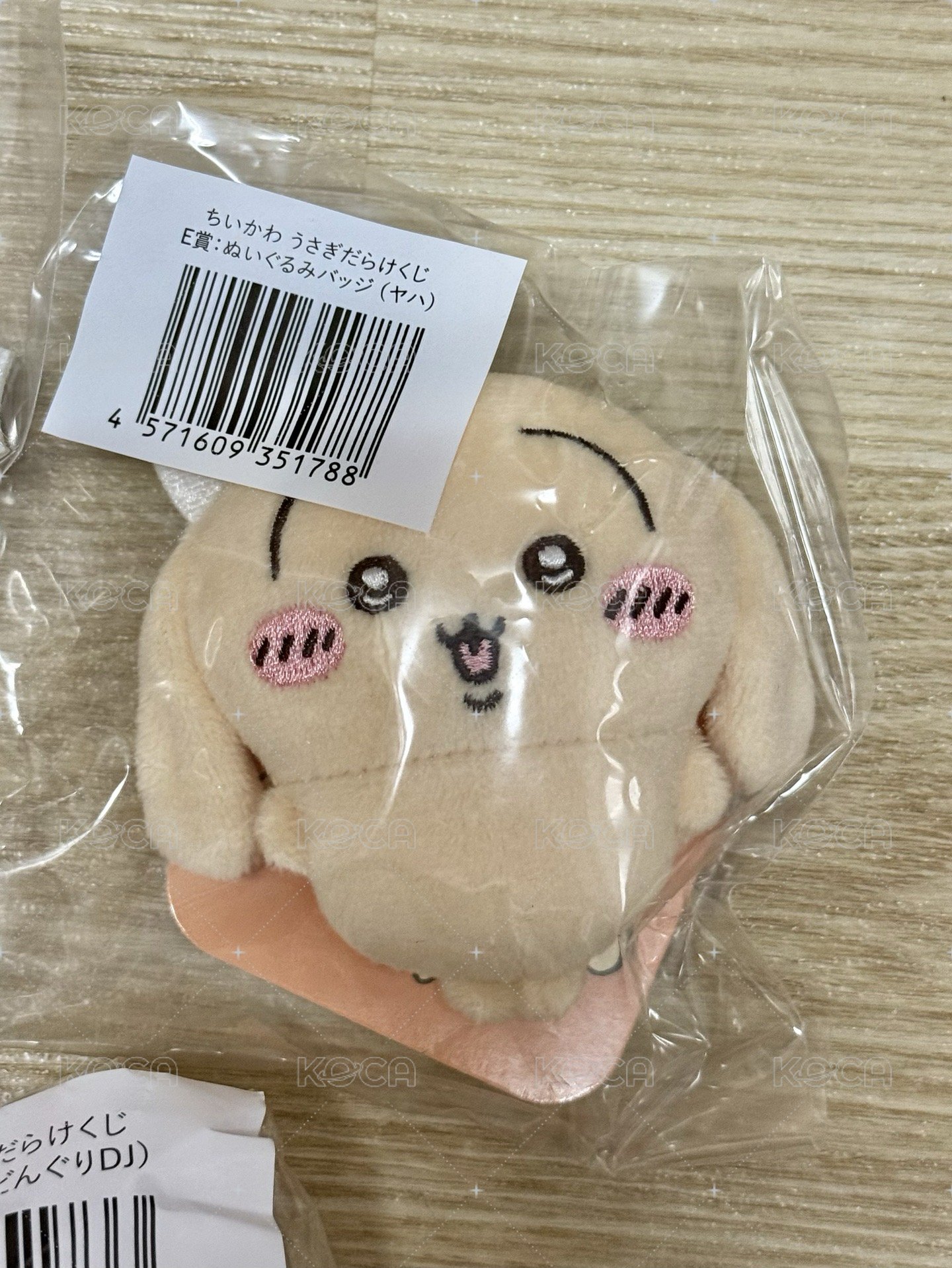 E垂耳