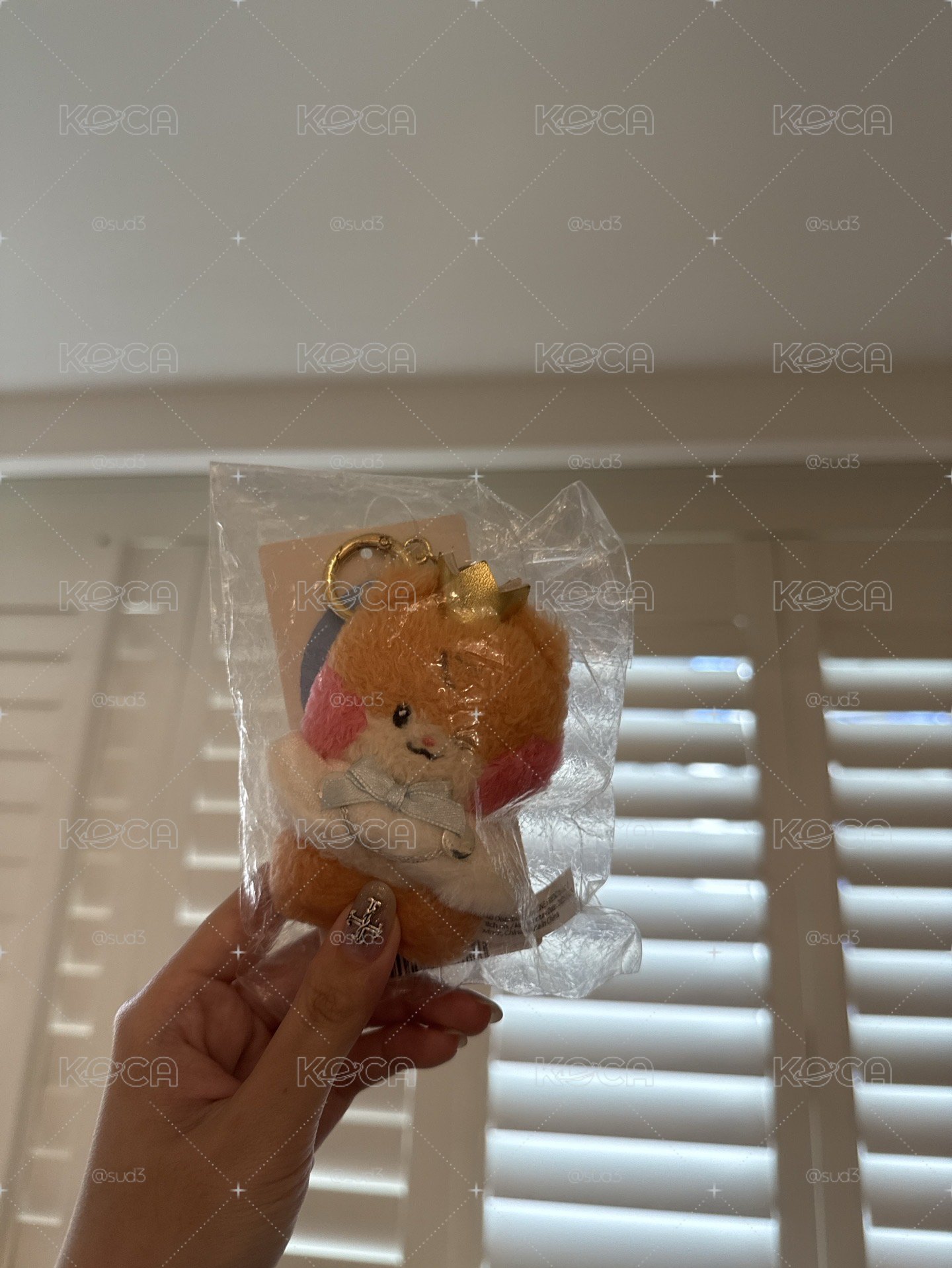 王子彬