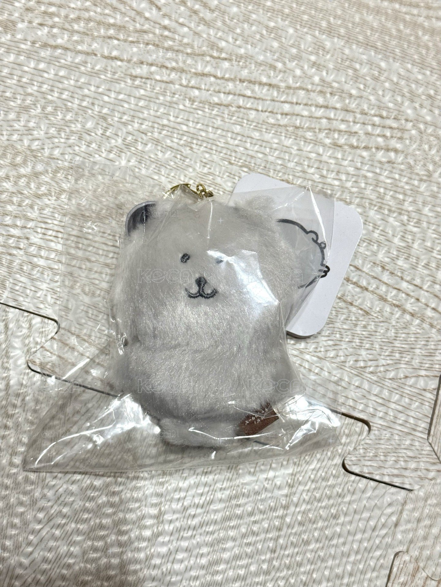 韓國灰色熊熊
