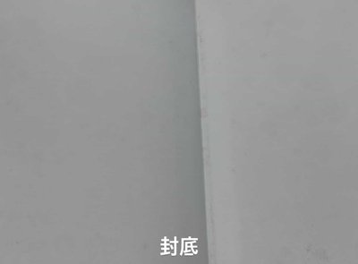 Yes I am SANA White ver. 寫真集 