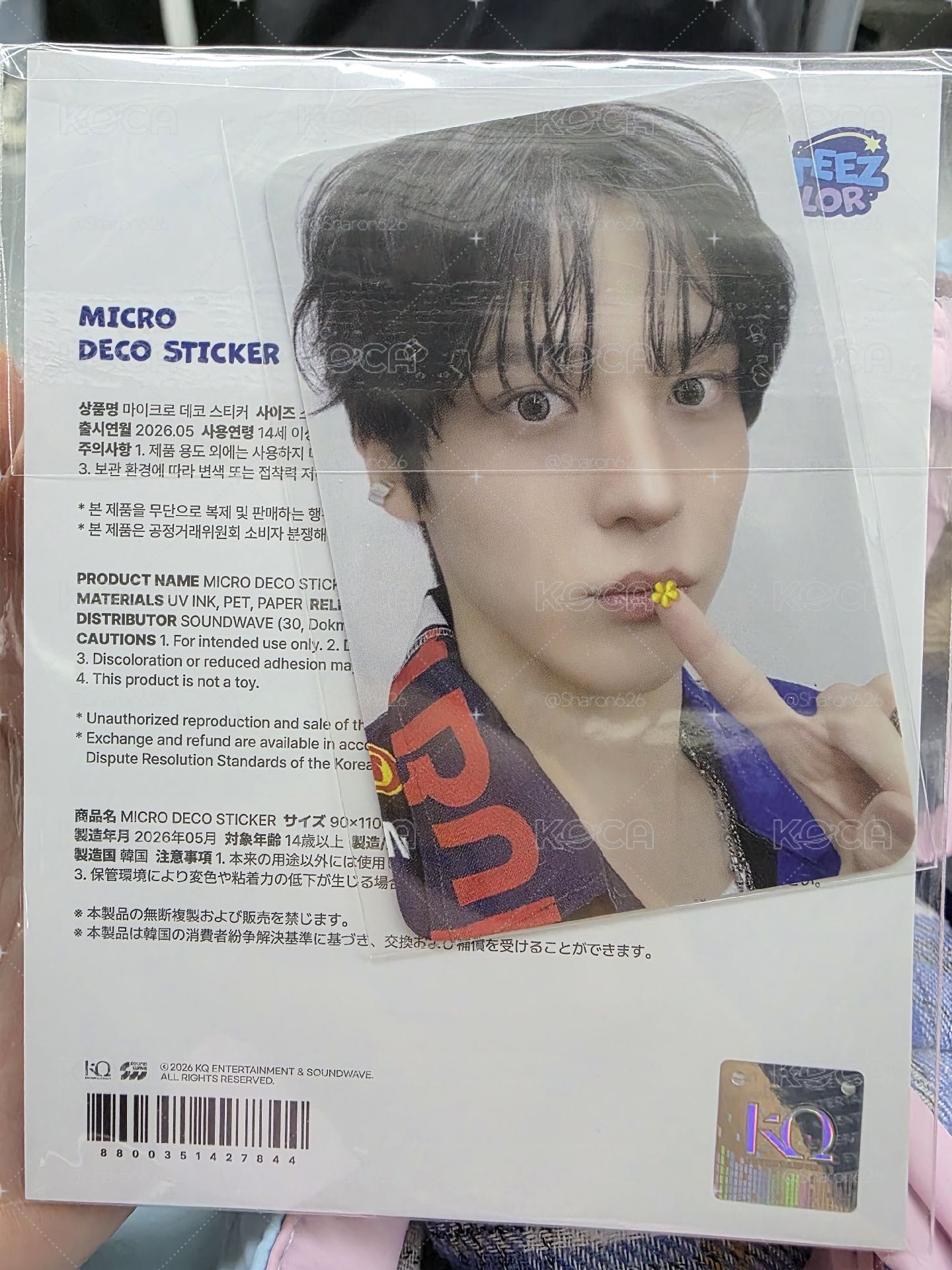 潤／ANITEEZ IN COLOR 貼紙 MICRO DECO STICKER