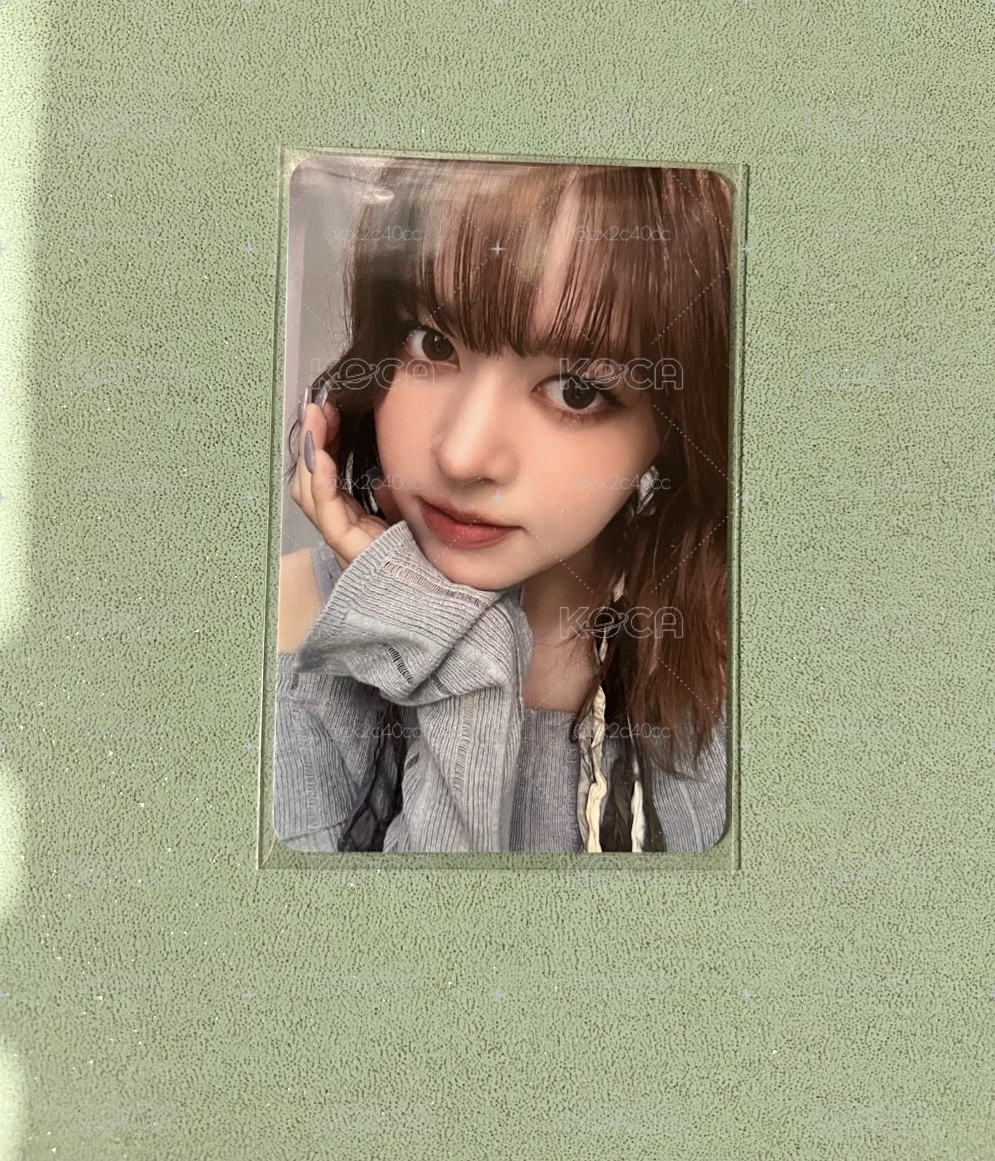MA預售 無預覽莉