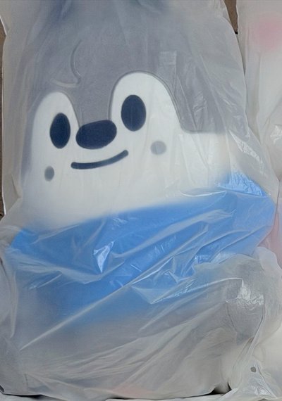 Skzoo首爾站 坐娃燦+線下滿額一套